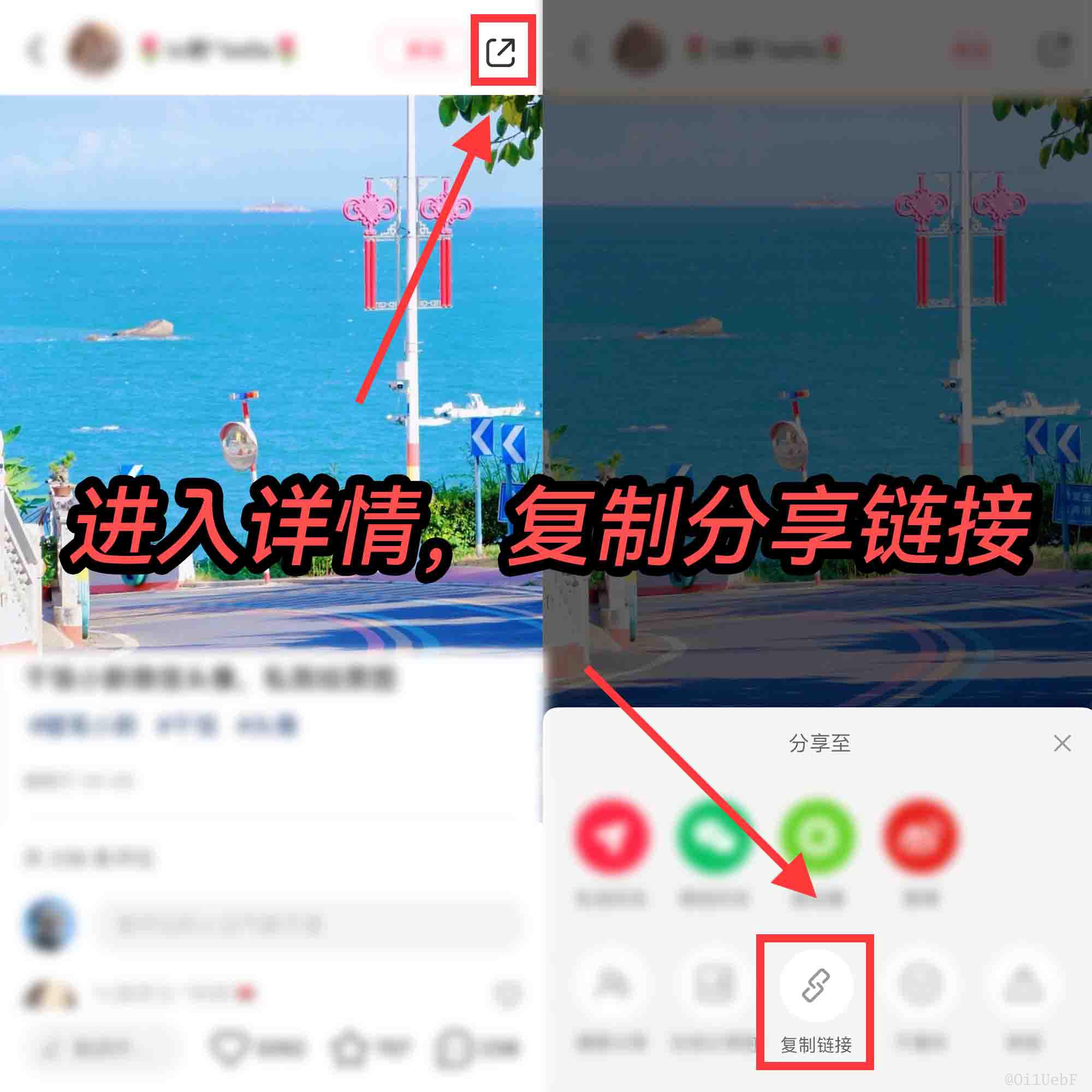 怎样保存小红书里的图片无水印