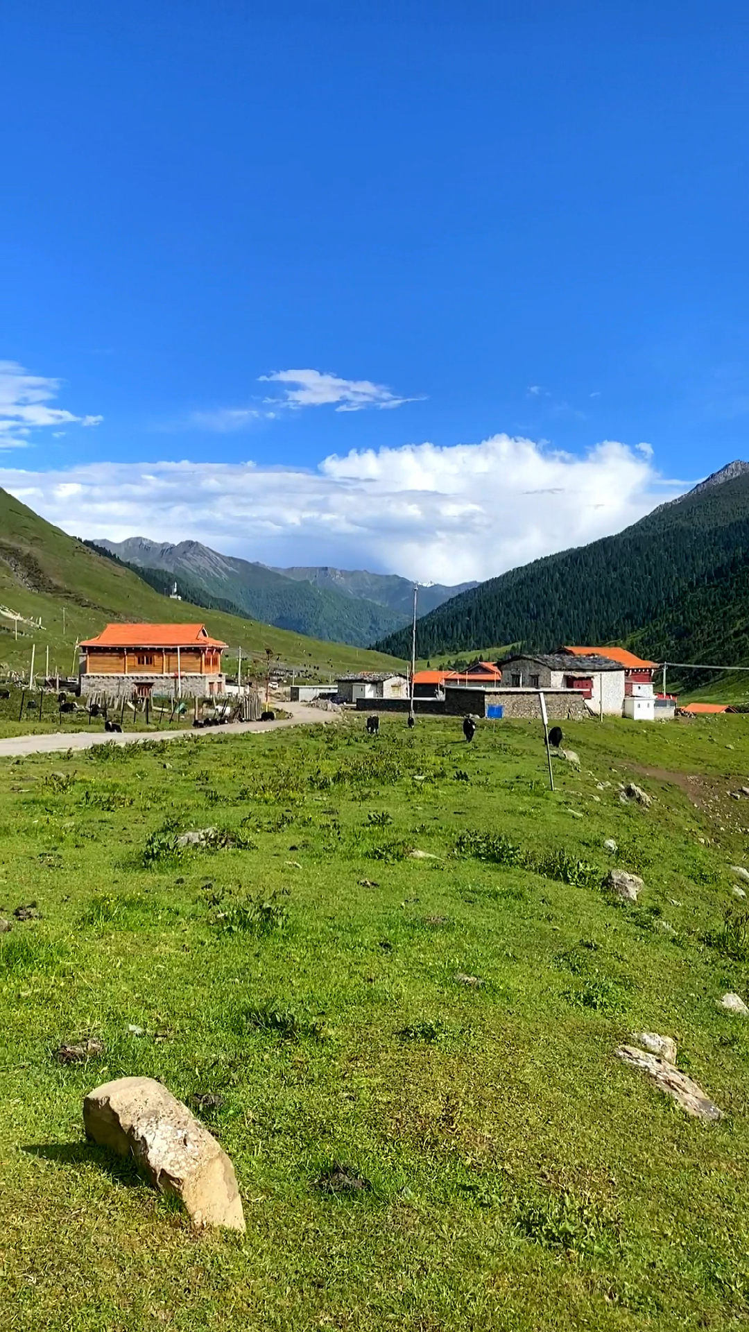 这里不是瑞士,而是川西高原,四川甘孜州丹巴县莫斯卡村