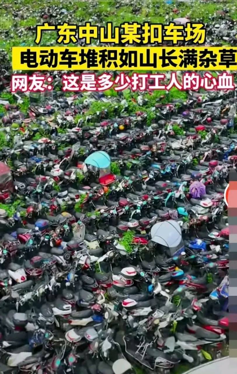 政策朝令夕改,难道这么好的电动车报废了不是对国家资产的浪费吗?