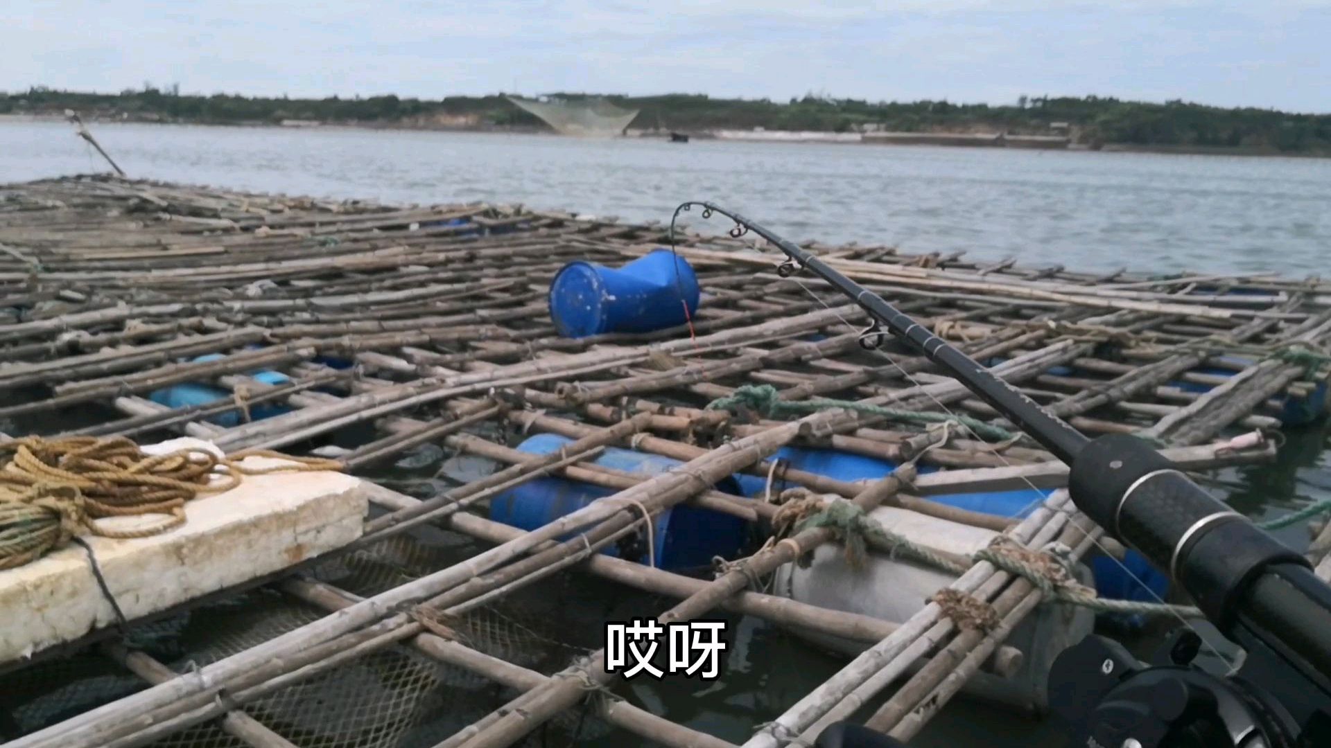 今天出海钓鱼了,钓到一条可怕的鱼,叫不上什么名