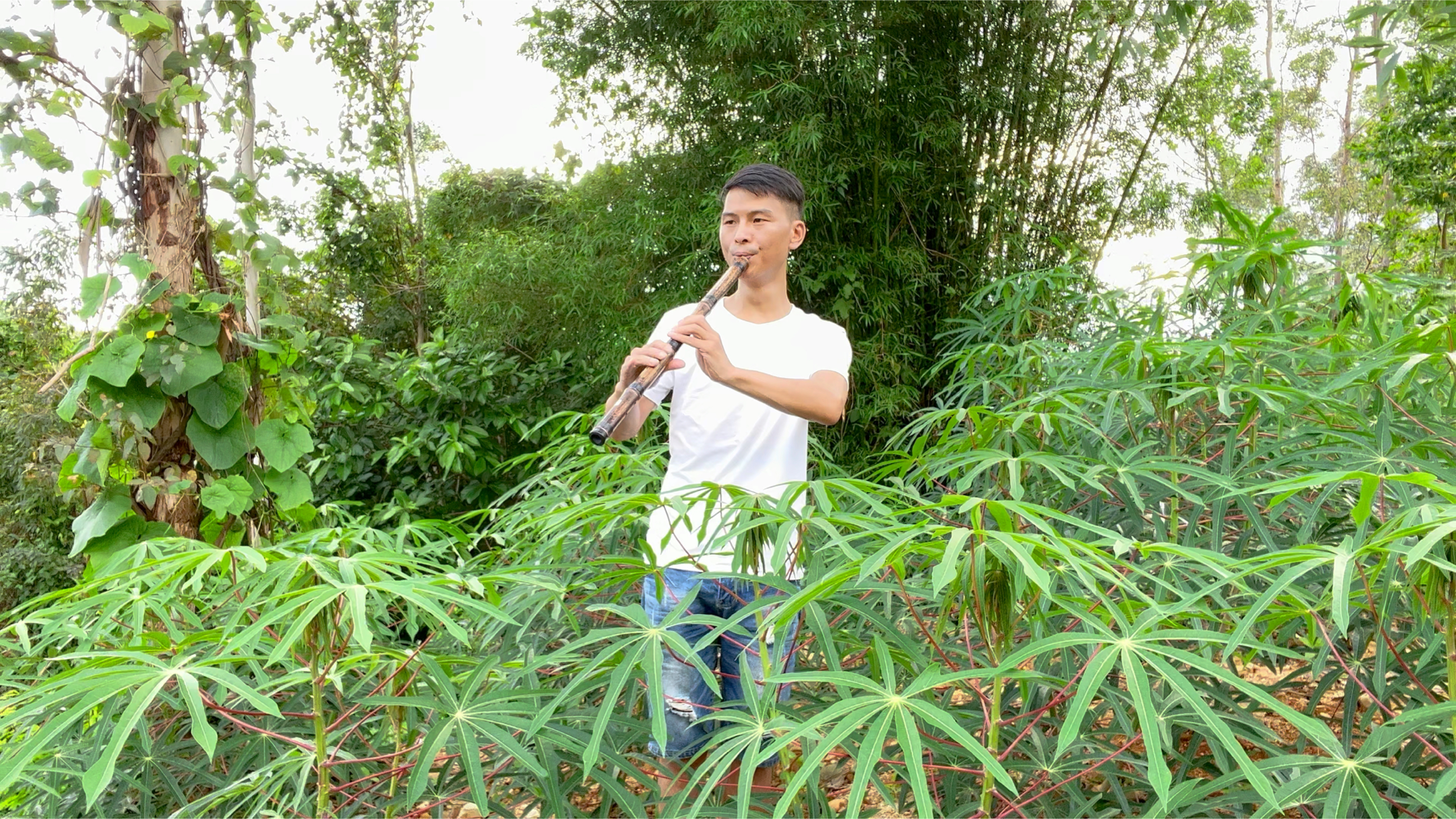 萧音系亲人 洞箫一曲一花一世界