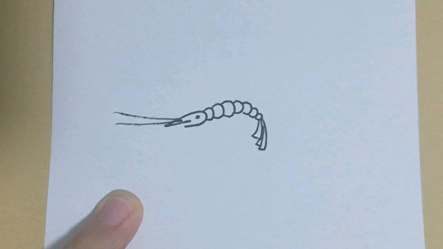 (简笔画教程)极简的小虾米,一看就会