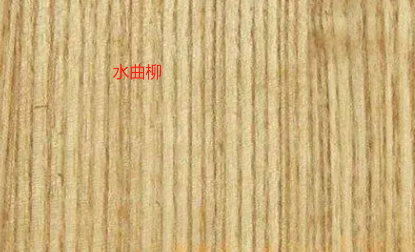 水曲柳和白蜡木区别