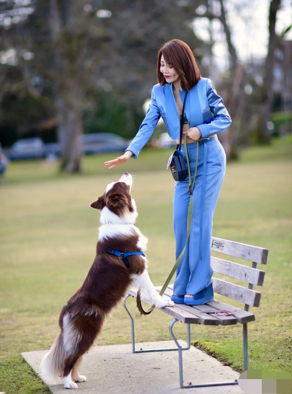 他们都说爱养狗的女人好相处,真的吗?