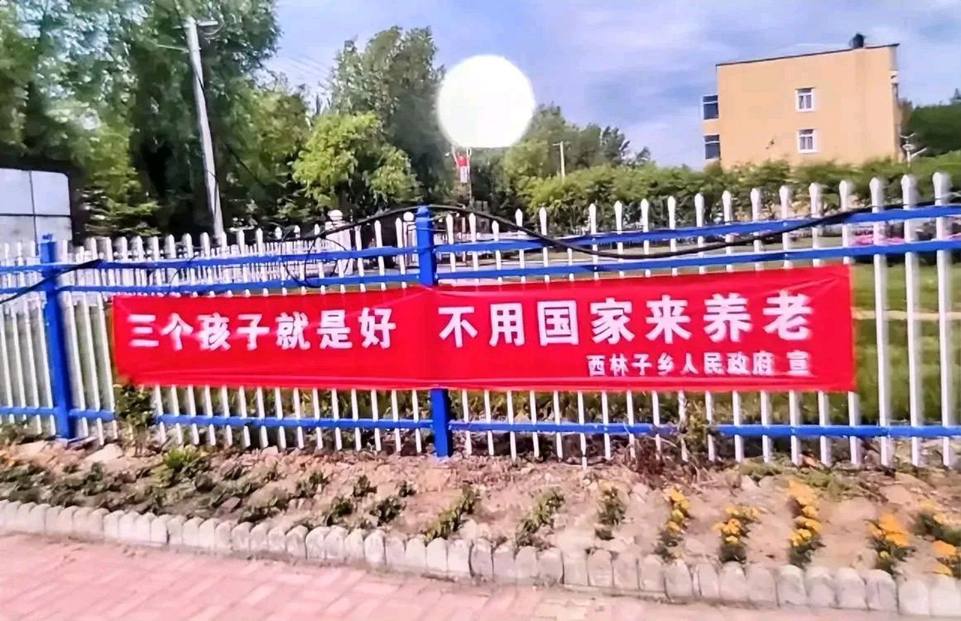 "三个孩子就是好,不用国家来养老"这个乡确实用心了!