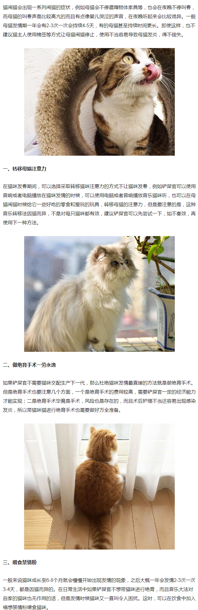 闹猫用棉签捅行么,母猫用棉签要弄多久