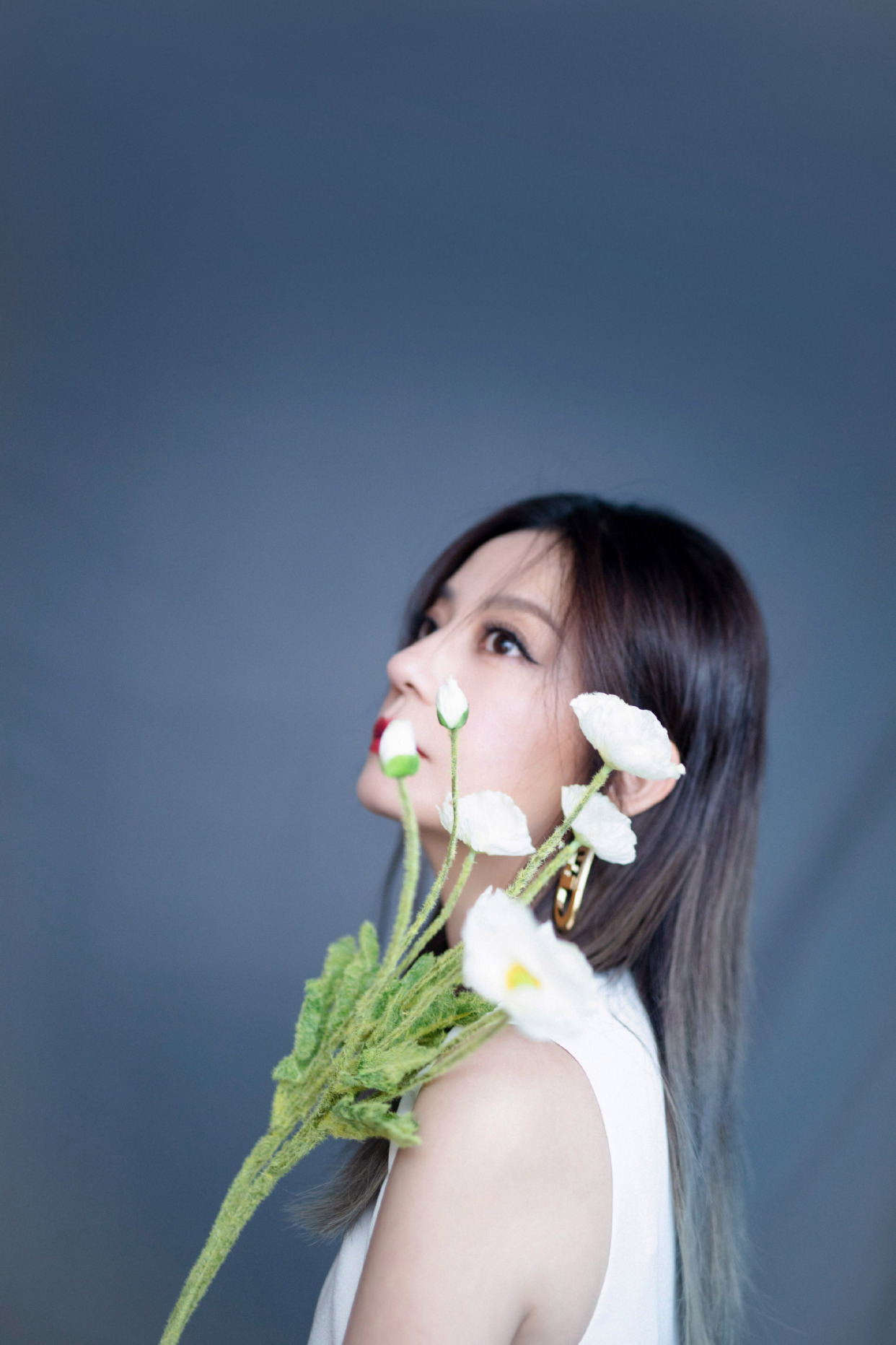 明星写真美图|赵薇