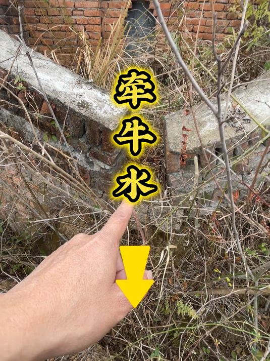 顺着水走,前面又没关锁,就叫牵牛水.前面可以种树,也可以做