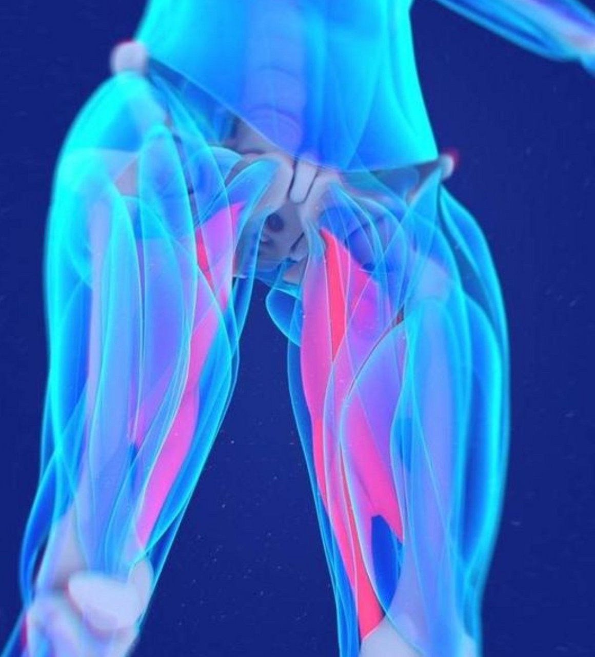 腹股沟拉伤 症状: 一级拉伤:行走腹股沟附近感到不适;运动或活动后不