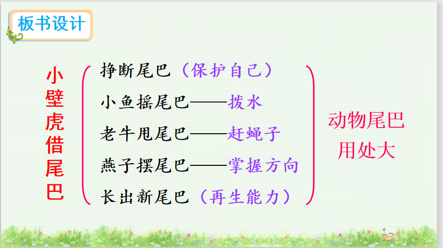 一年级语文下册课文21《小壁虎借尾巴》教案设计分享