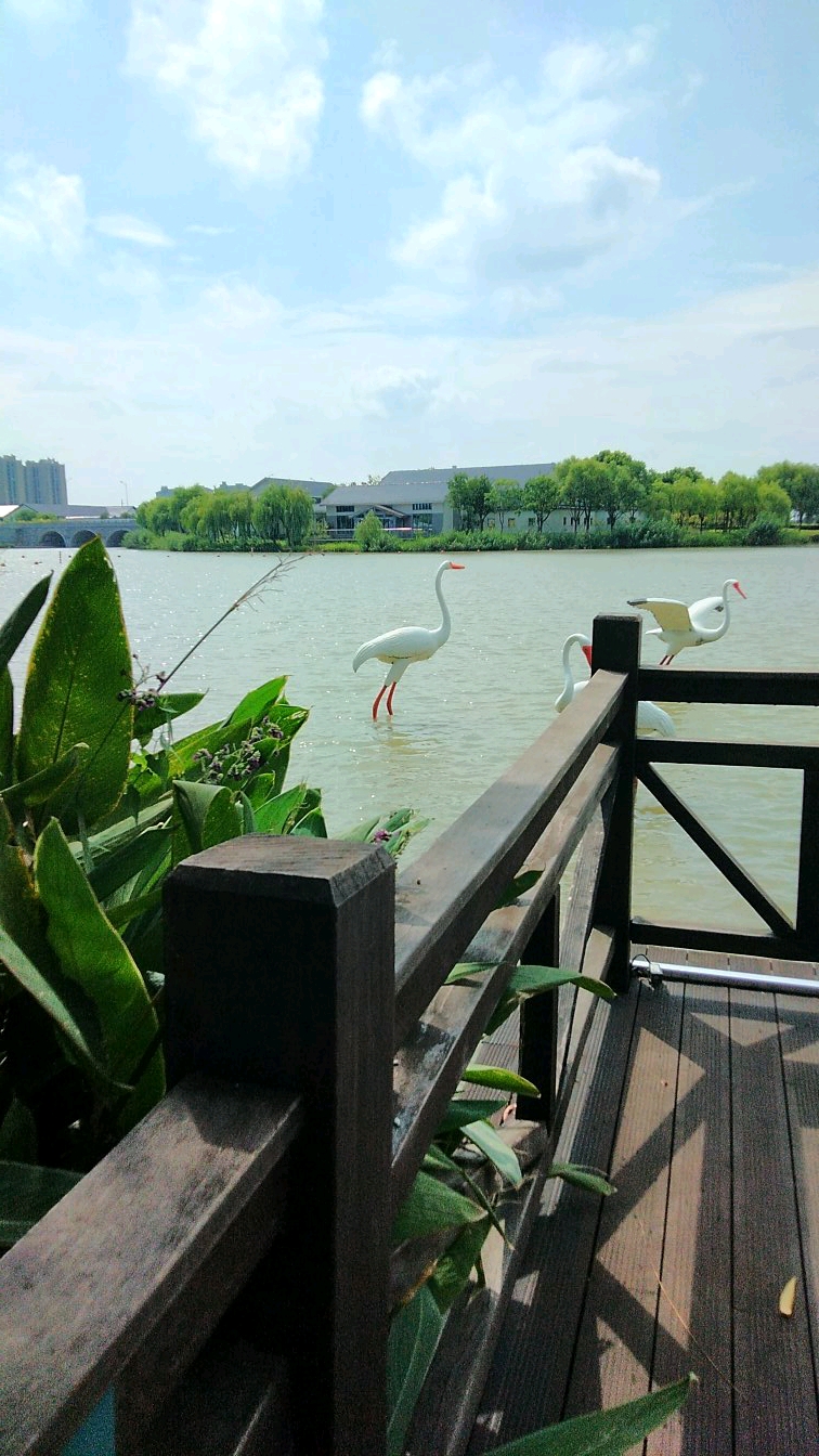 平湖明湖公园