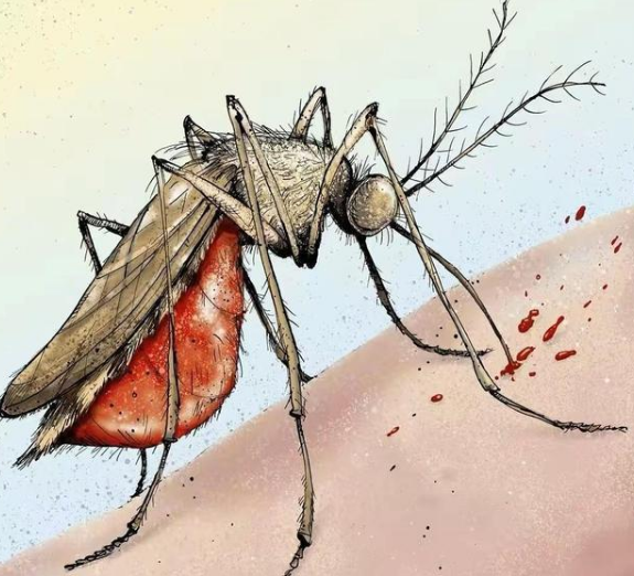 九成人不懂蚊子天敌是谁家中放上它仅仅5分钟蚊子消失了