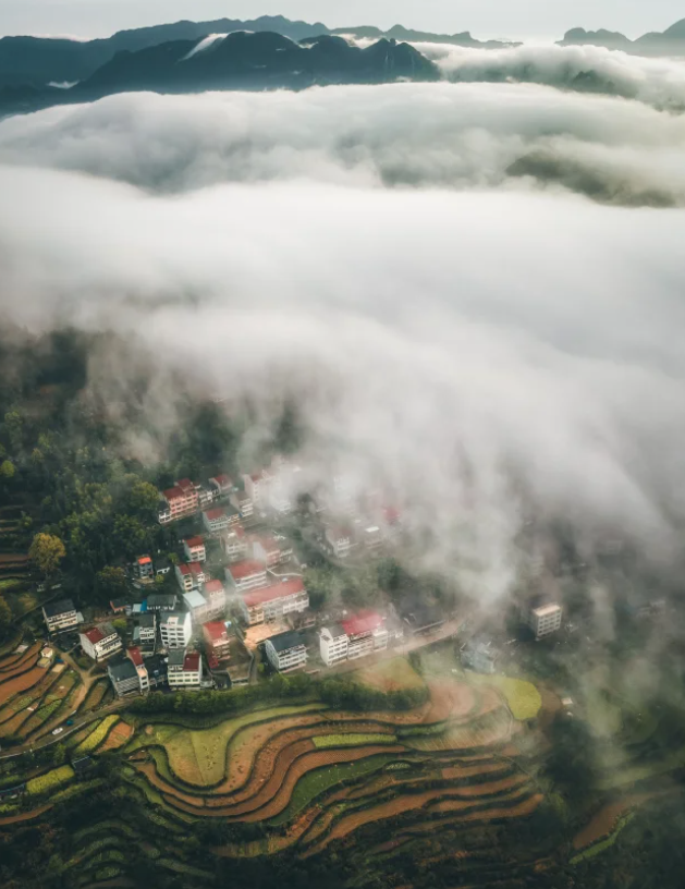 配音时女王音跟御姐音哪个更难?女王音跟御姐音的音色区别是什么
