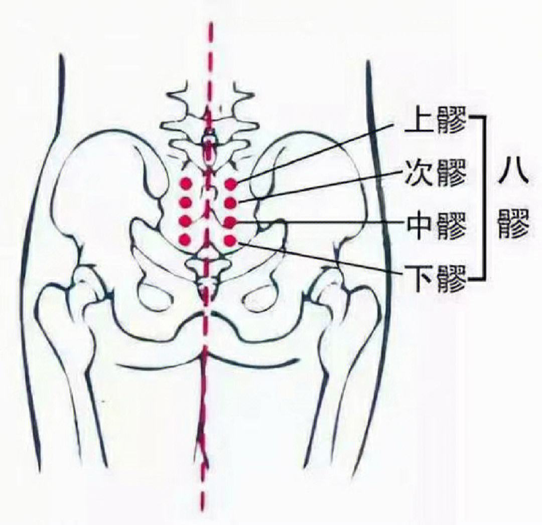 搓八髎的准确手法图片图片