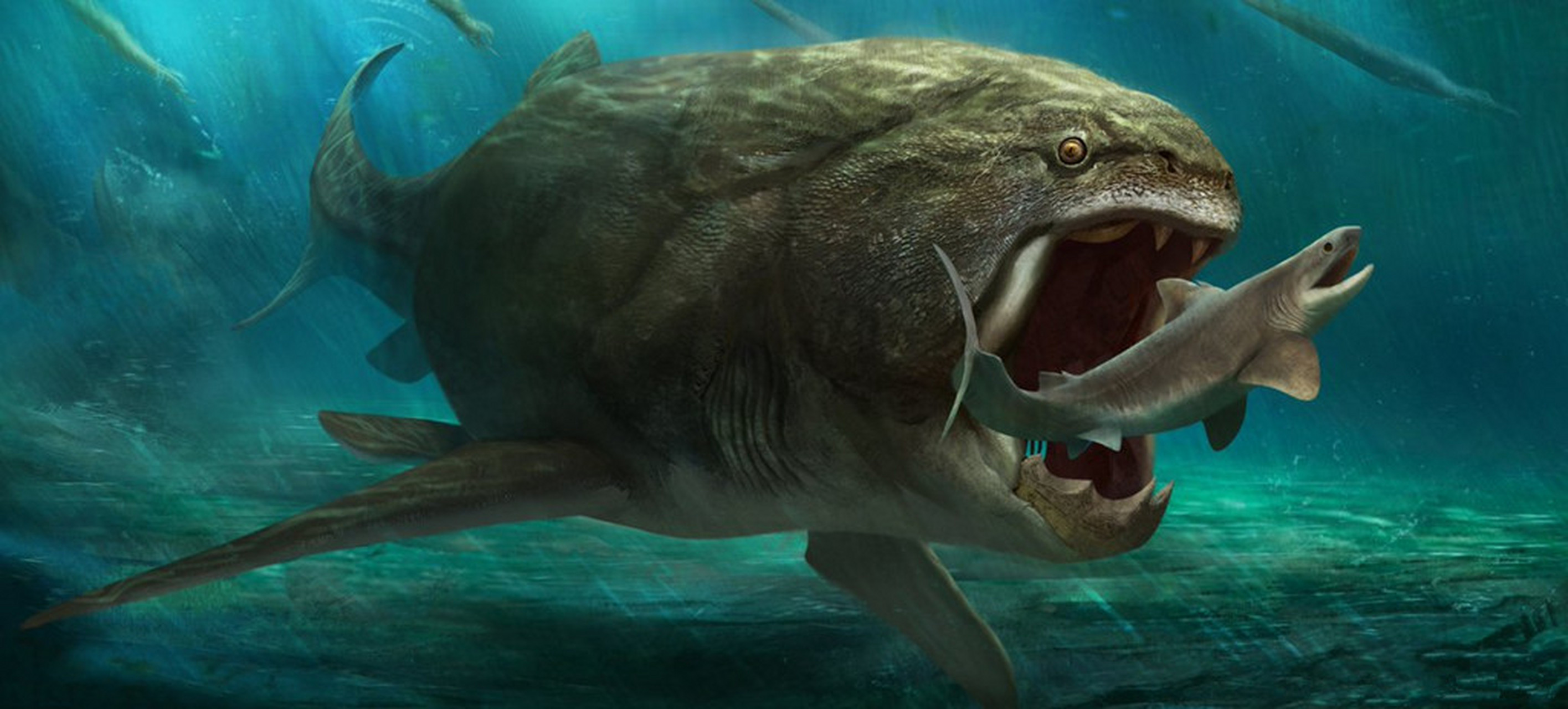 远古生物探秘——邓氏鱼 泥盆纪的海洋霸主—邓氏鱼,生活在4.4亿年-3.