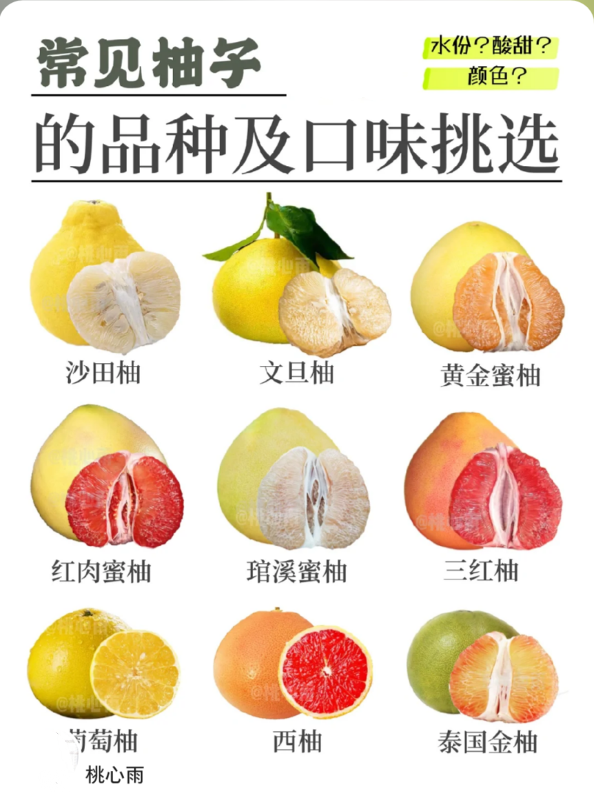 常见柚子的品种及口味挑选