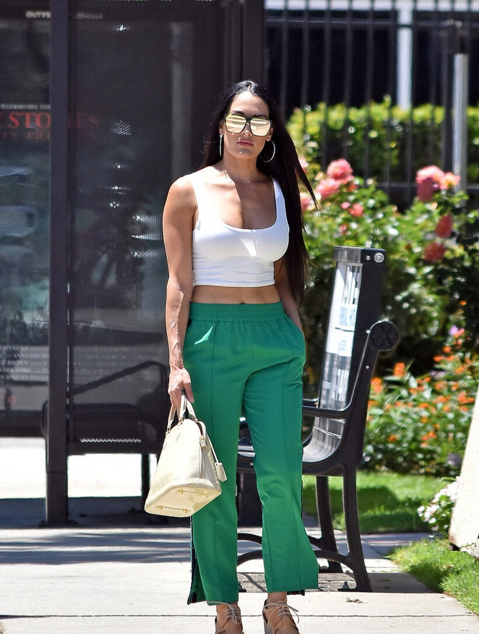 美国职业摔角运动员尼基·贝拉(三)