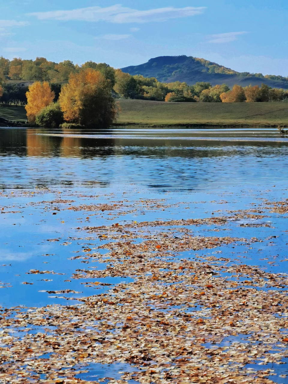 坝上秋色 67乌兰布统公主湖