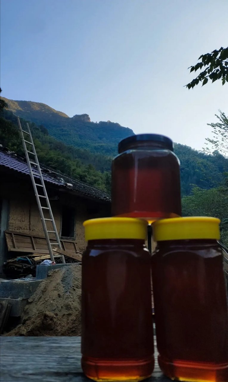 今天取点中蜂百花蜜,安徽泾县榔桥镇百户坑 百户坑土蜂蜜#动态知识