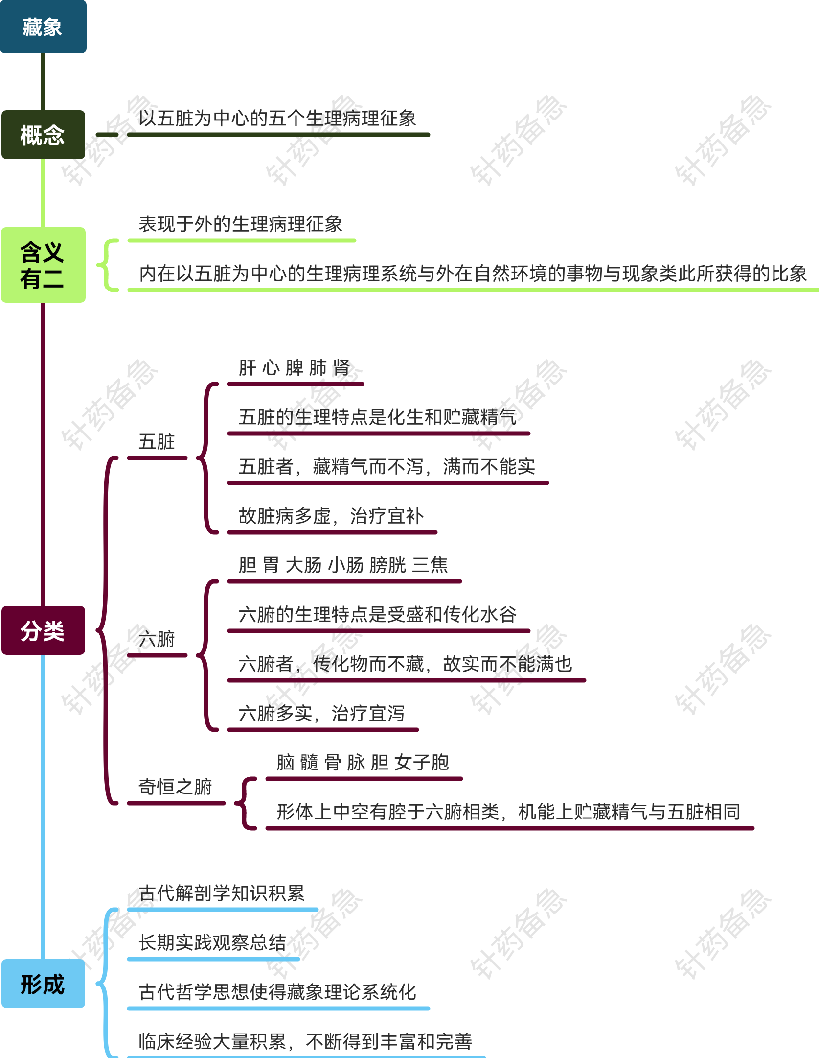 藏象(思维导图)-中医基础理论