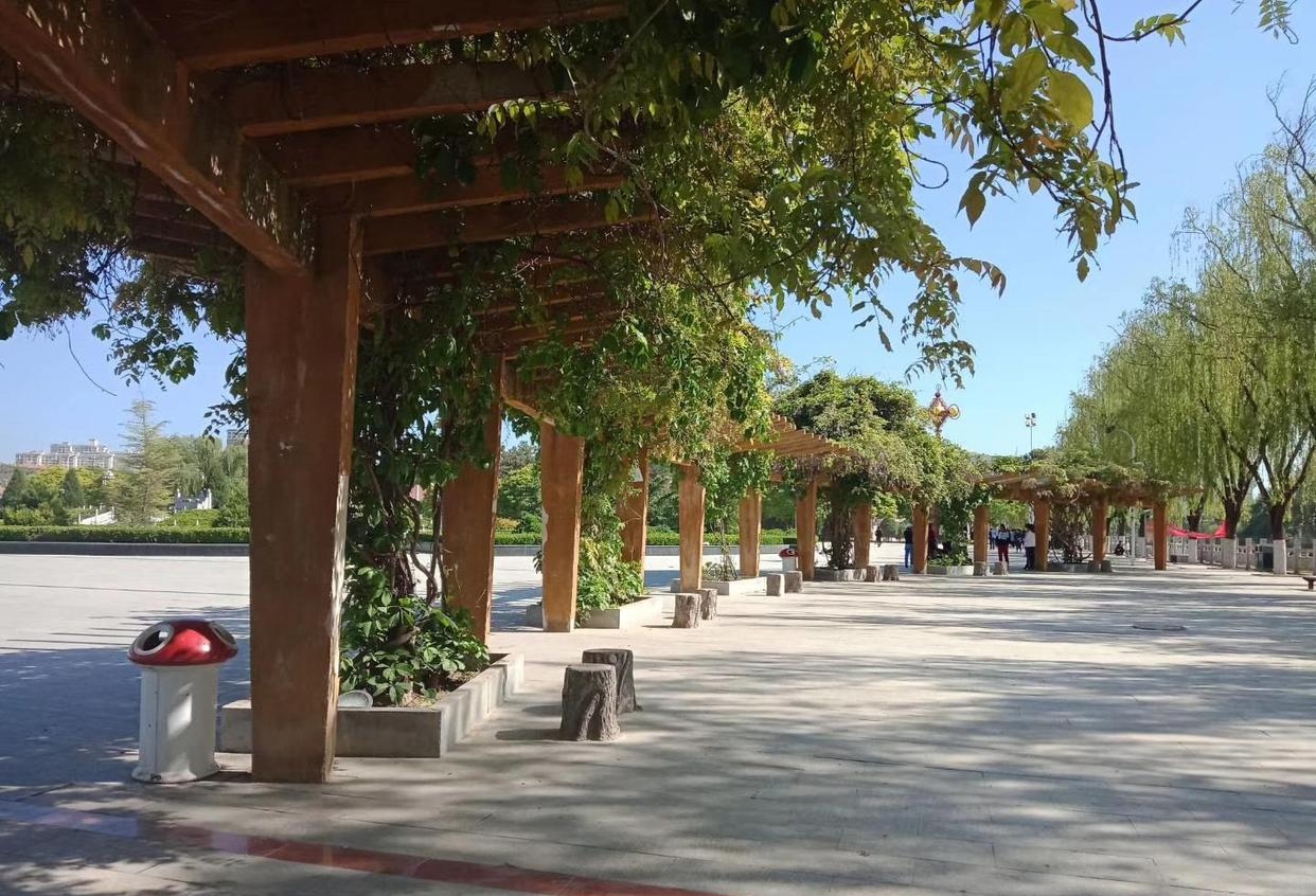 九龙广场县的魂