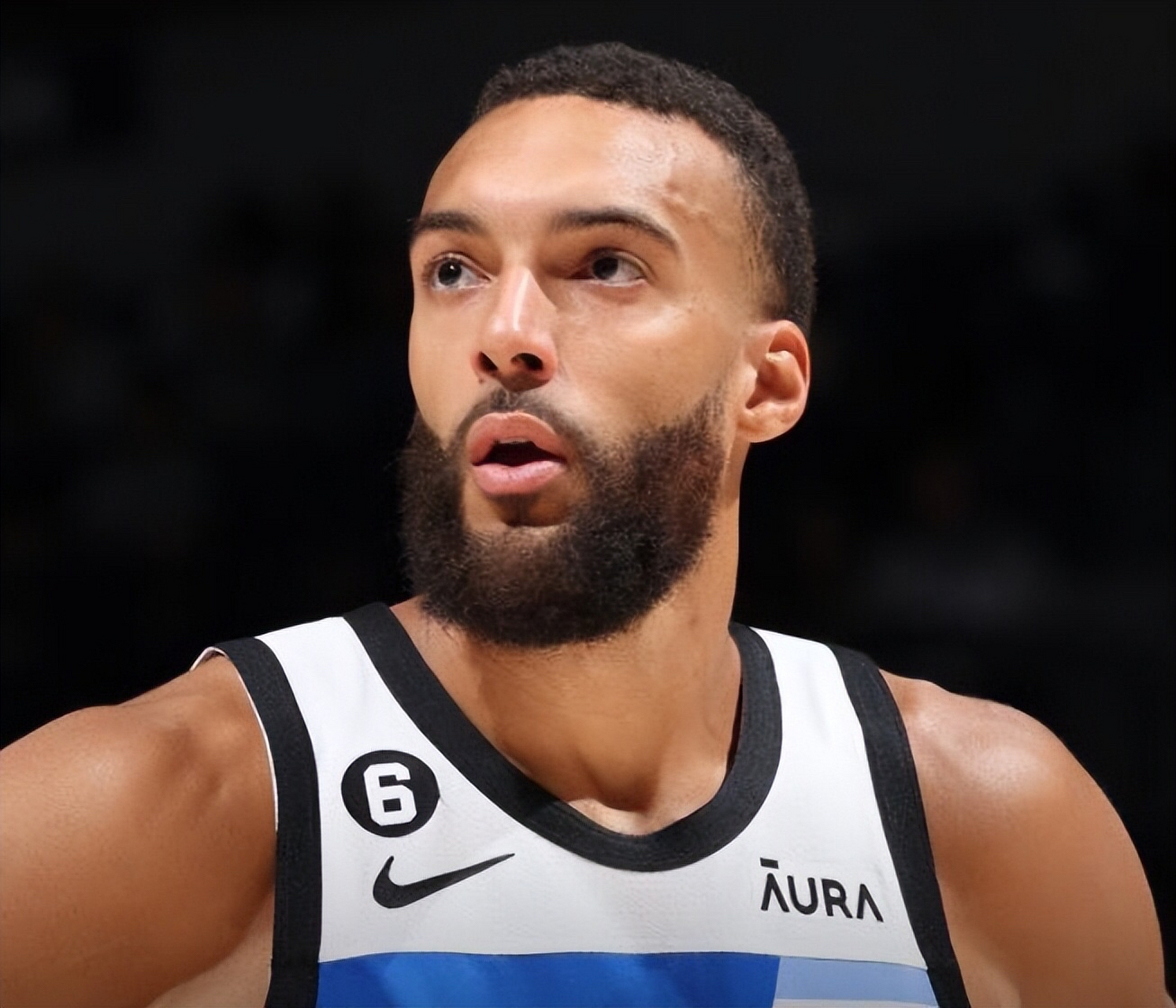 森林狼宣布对中锋鲁迪-戈贝尔禁赛一场,后者无法参加明天客场和湖人的