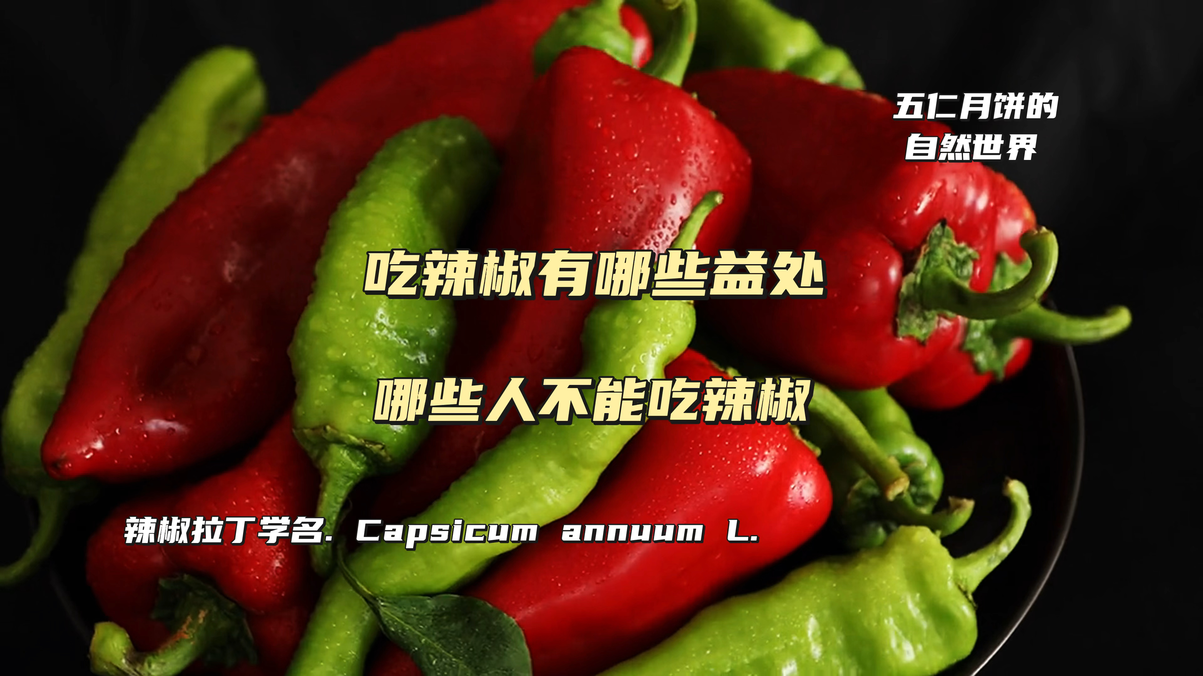 吃辣椒有什么好处,哪些人不能吃辣椒