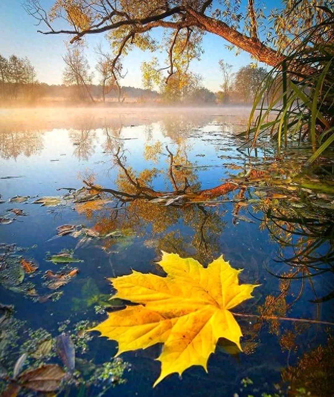 秋景大赏:为什么我们都喜欢拍摄秋天?