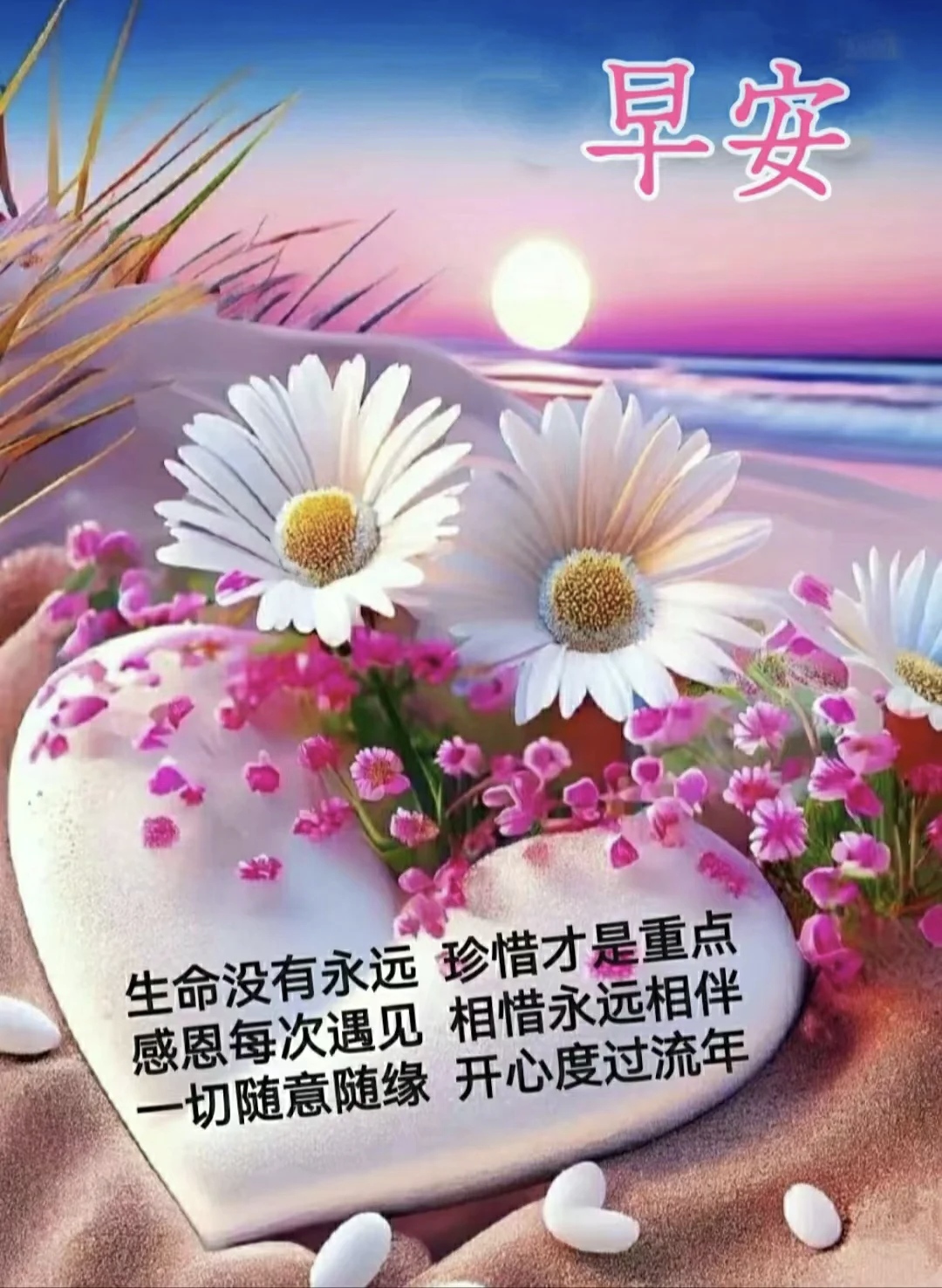 早安早上好早安你好早安美图  秋风有约,花开有期.一切美好,随秋而来.