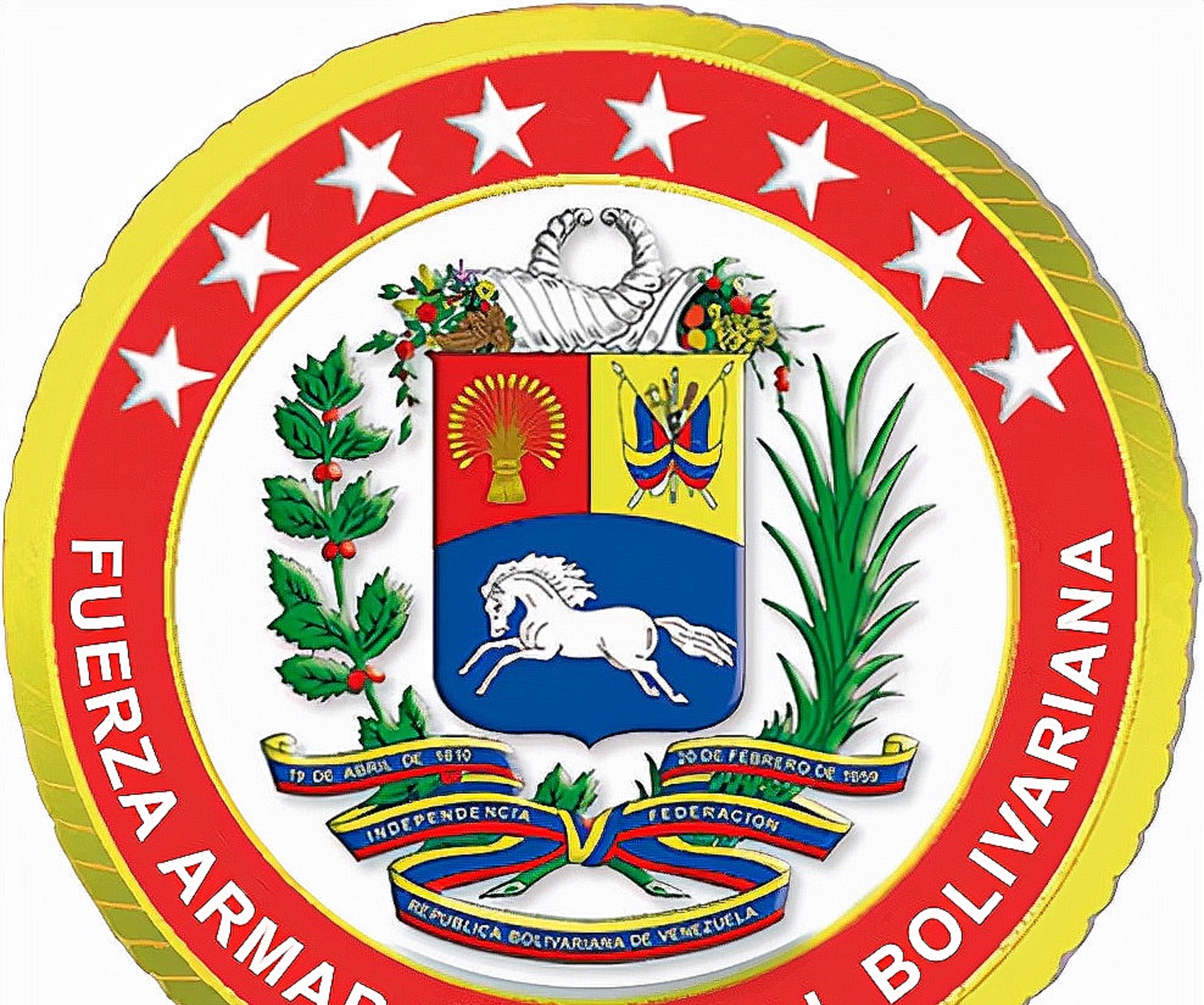 各国军衔标识:委内瑞拉
