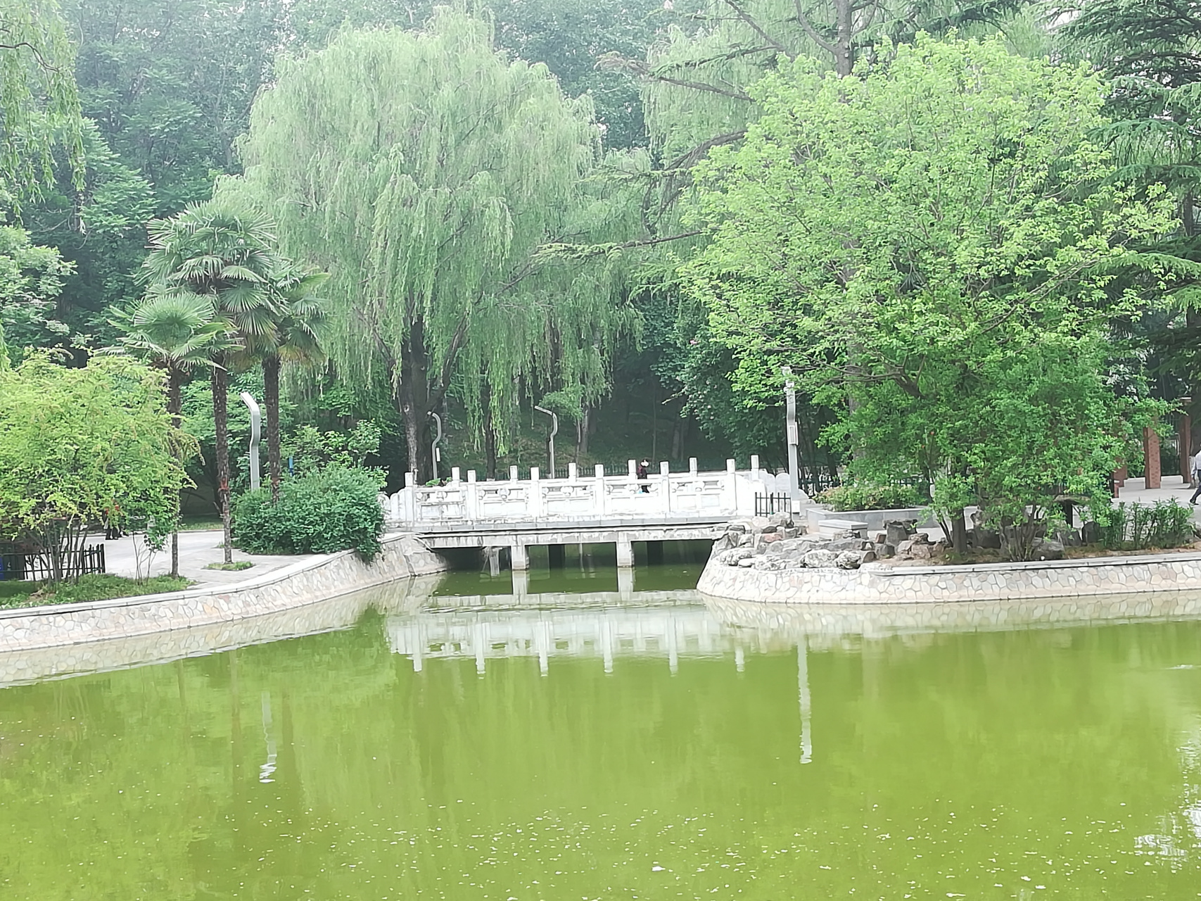 西安市长乐公园 长乐公园,坐落于古城西安,位于新城区南部.