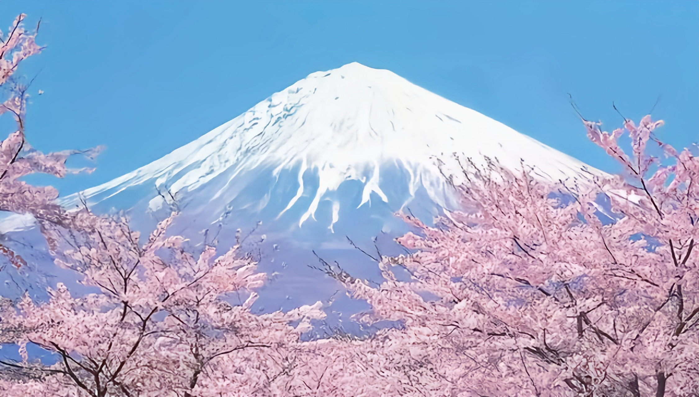 关东平原在日本三大平原(关东平原,大阪平原,浓尾平原)中面积最大的一