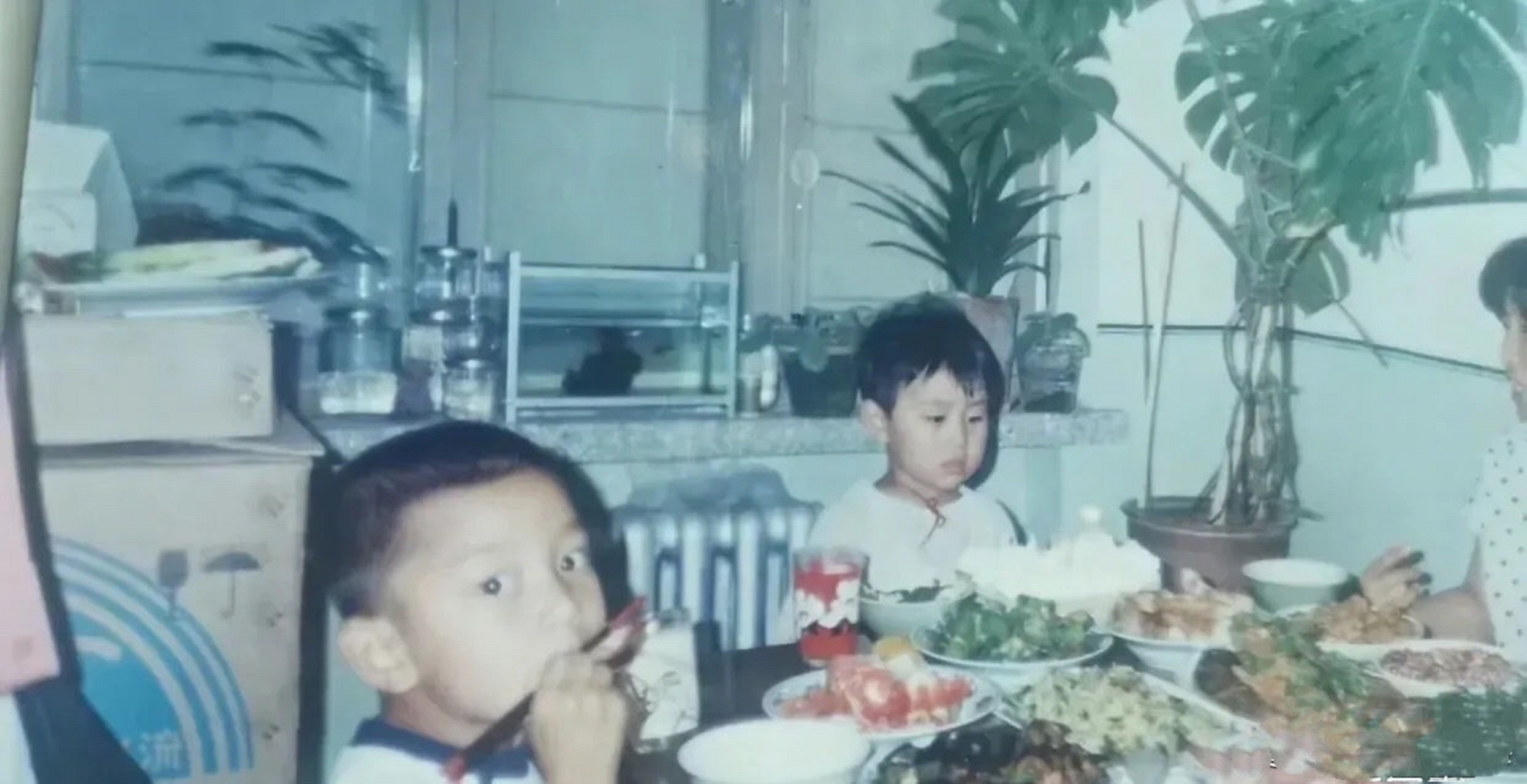 贾乃亮分享自己童年时期的照片,看着他小时候家里条件挺殷实的呀,难怪