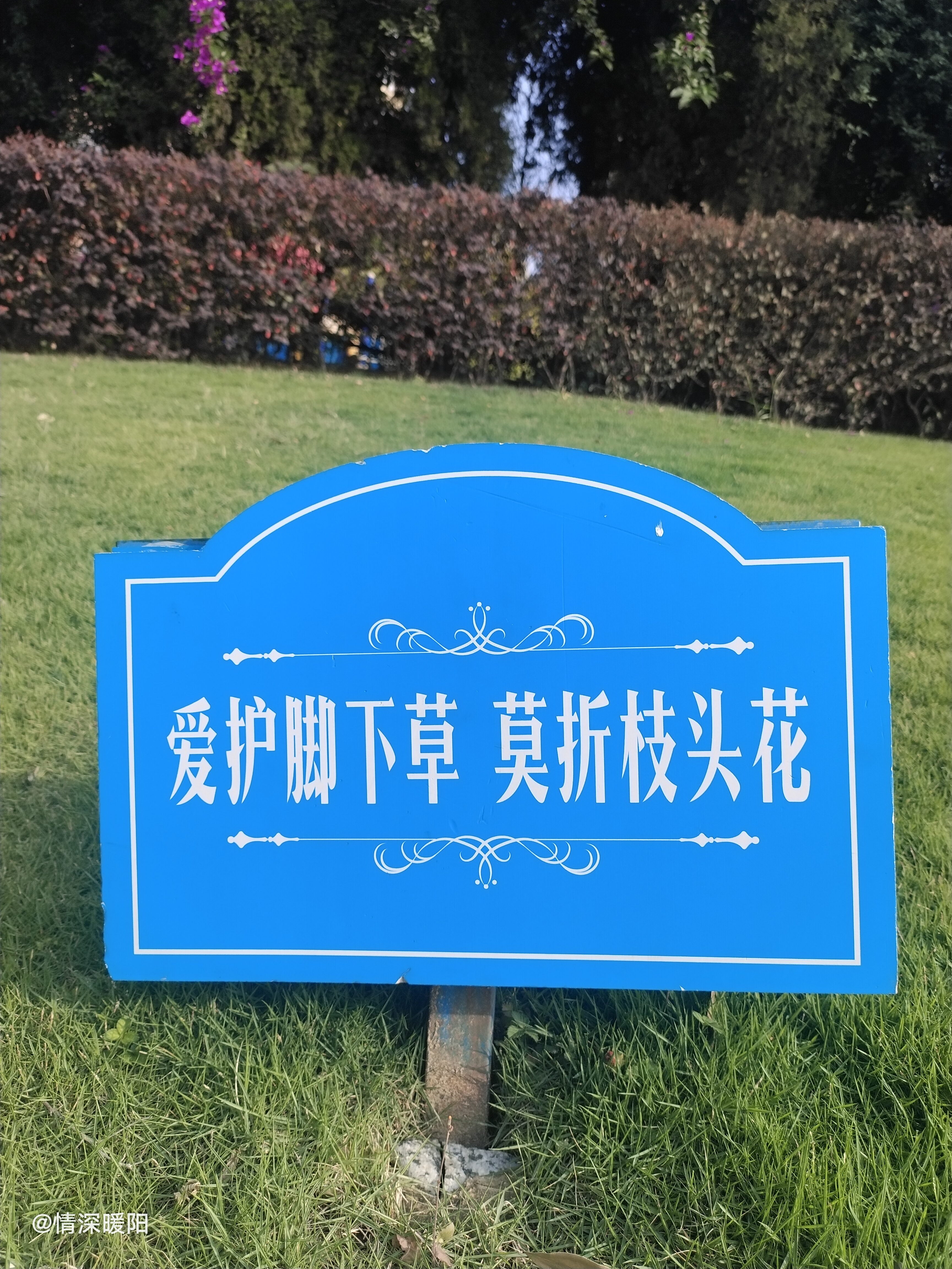 公园里的标语,让人读了,神清气爽!