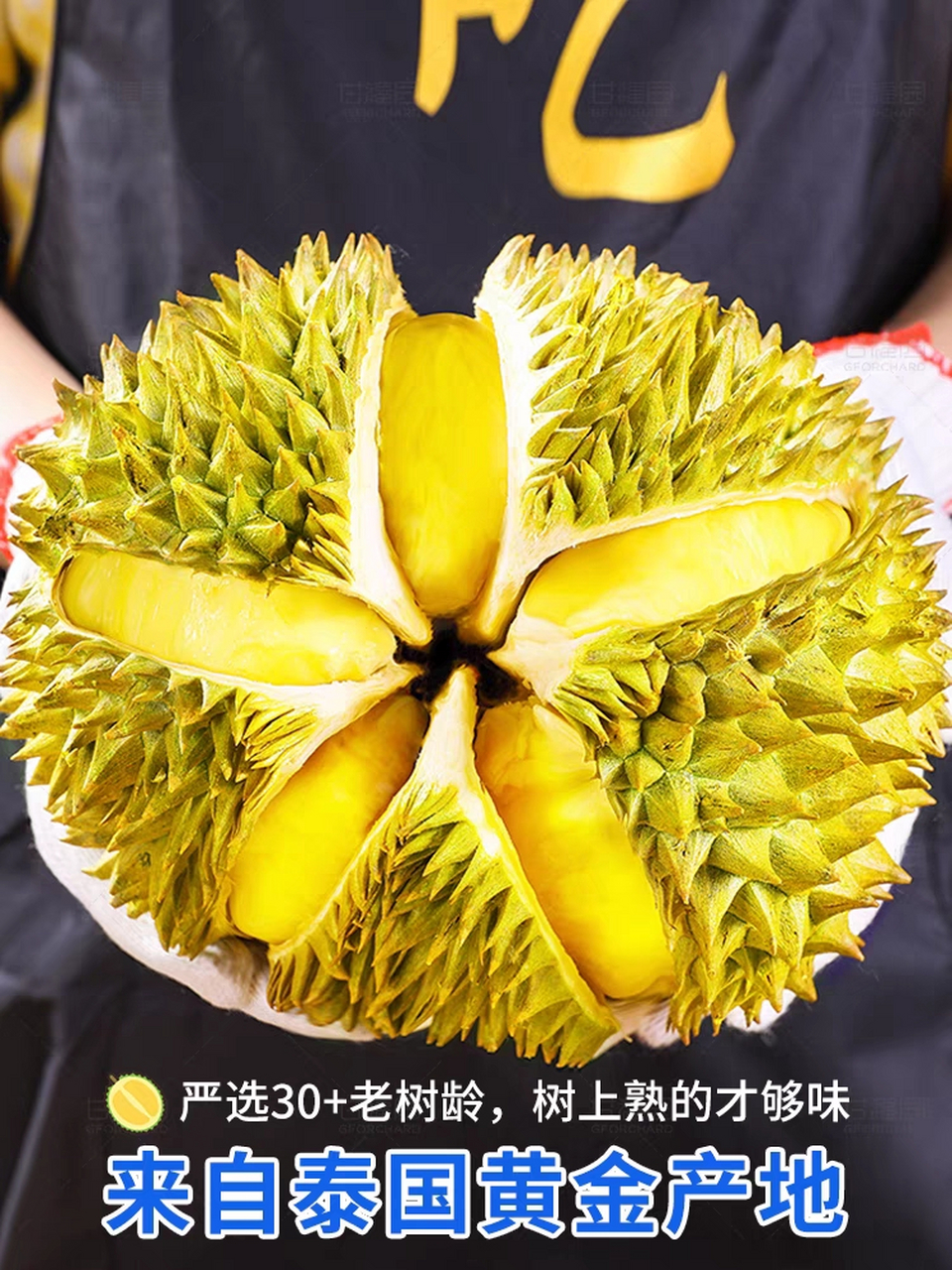 今天给大家分享一个超实惠的榴莲,泰国金枕榴莲,一整个自然成熟,新鲜