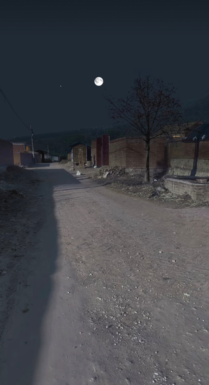 农村的夜晚那么静,又那么热闹,静是因为没有车声,喧嚣声,热闹是因为