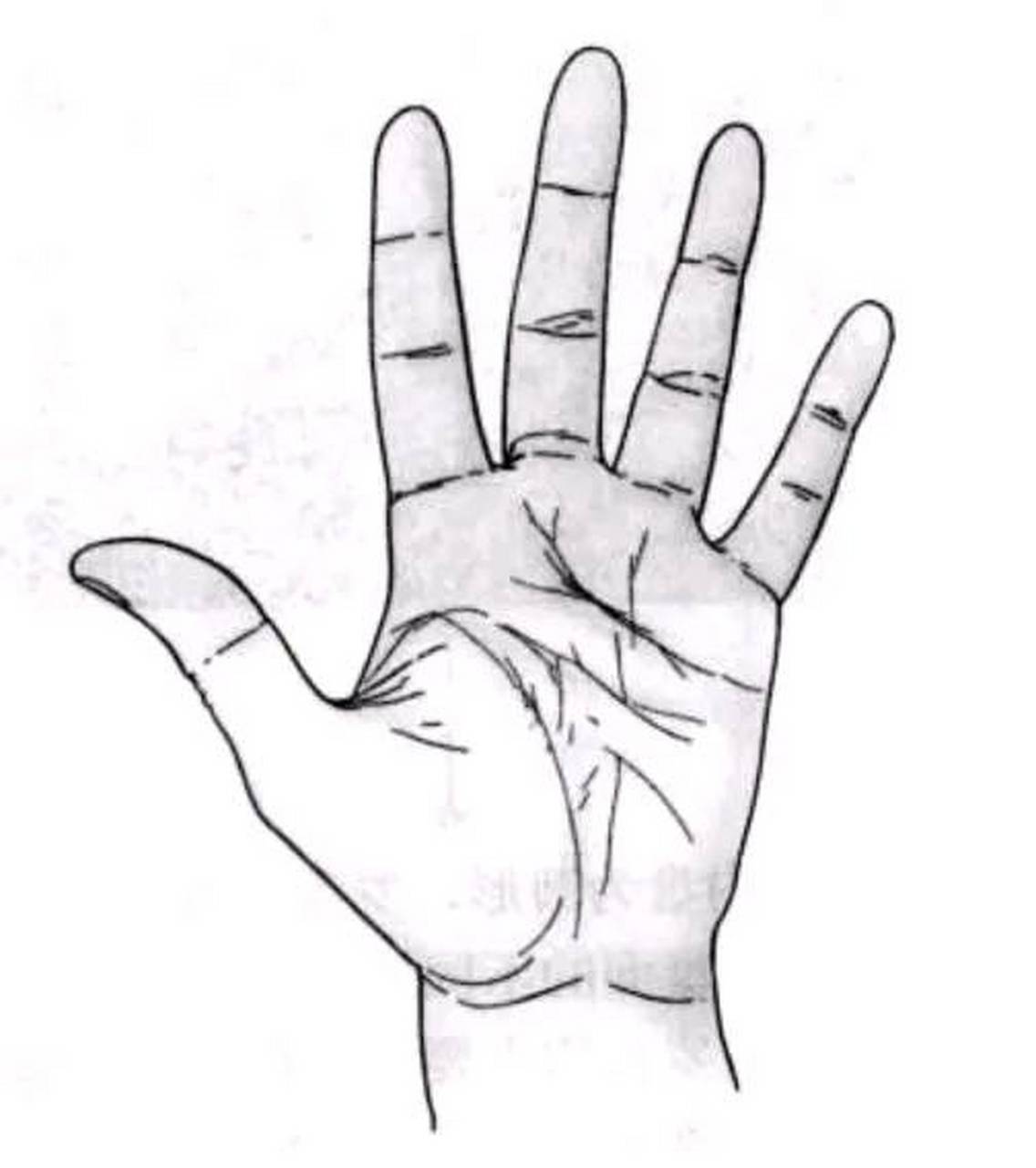 水型手的人,性格敏感,非常情绪化,轻物质需求而重视精神需求,喜欢在