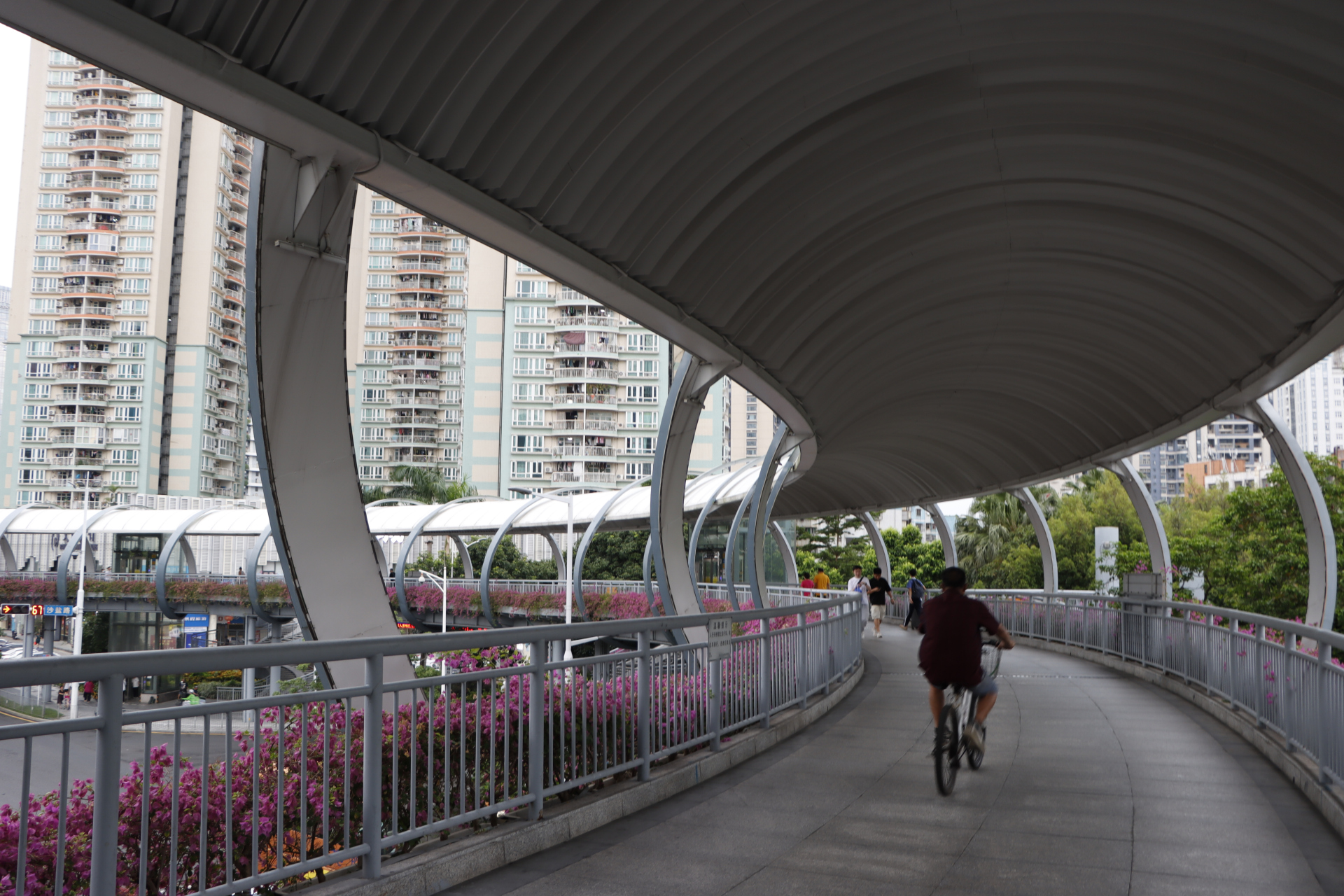 分享深圳沙头角人行天桥摄影