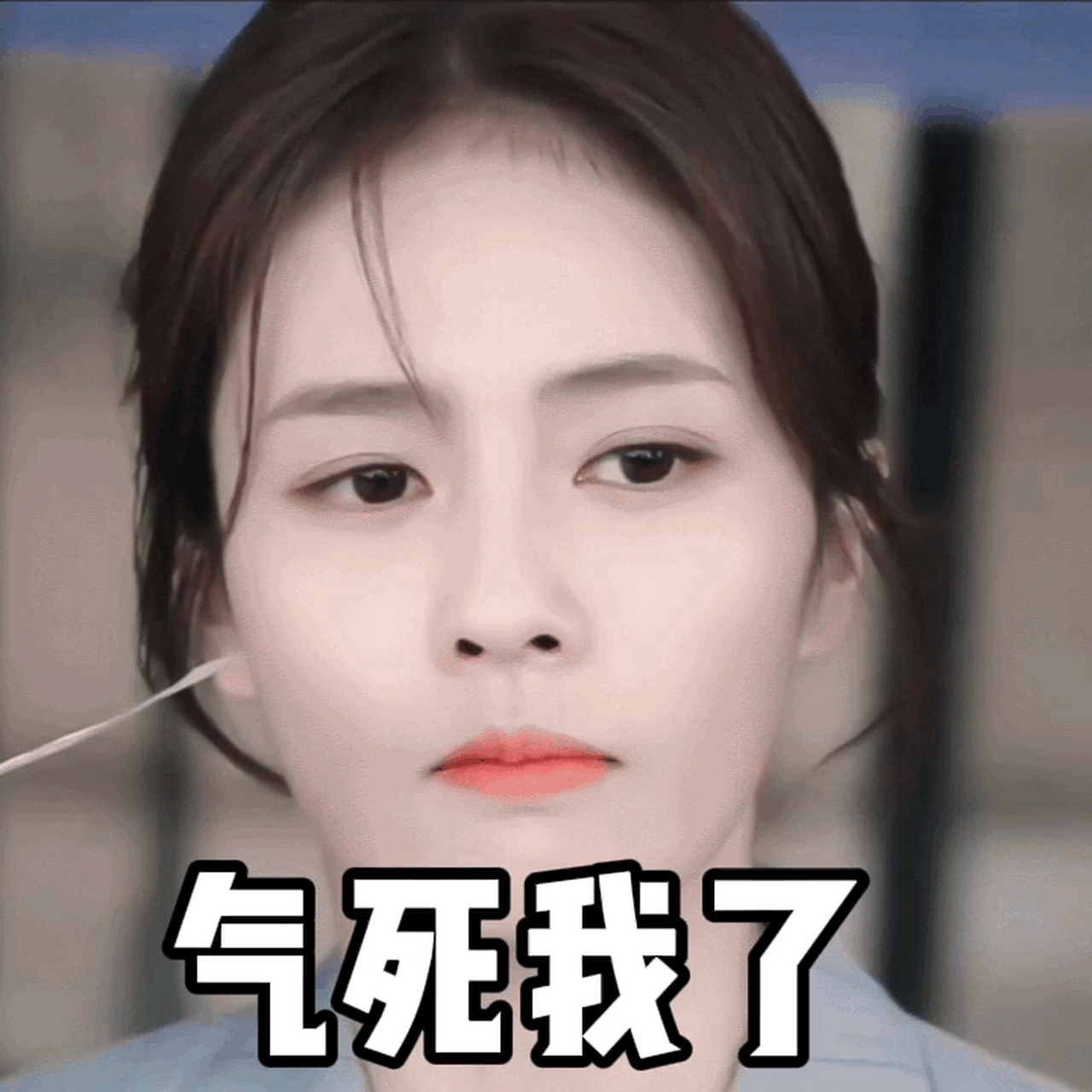 白鹿 bl#白鹿表情包 静图3p 动图6p 全是表情包 太可爱了#gif