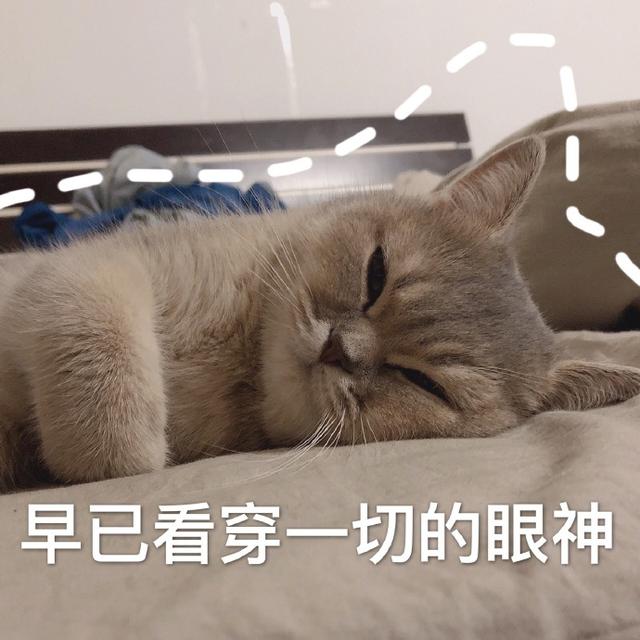看透表情包看穿一切看穿表情包早已看穿一切看透一切的表情包看穿一切