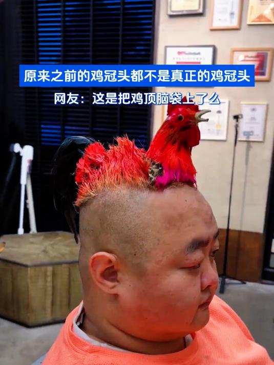 原来之前的鸡冠头都不是真正的鸡冠头
