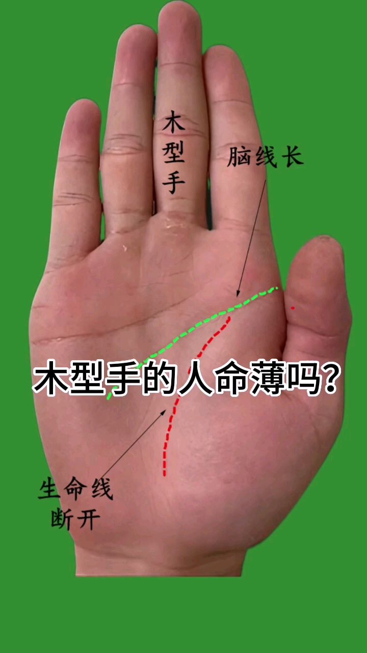 木型手的人命运好吗? 传播正能量