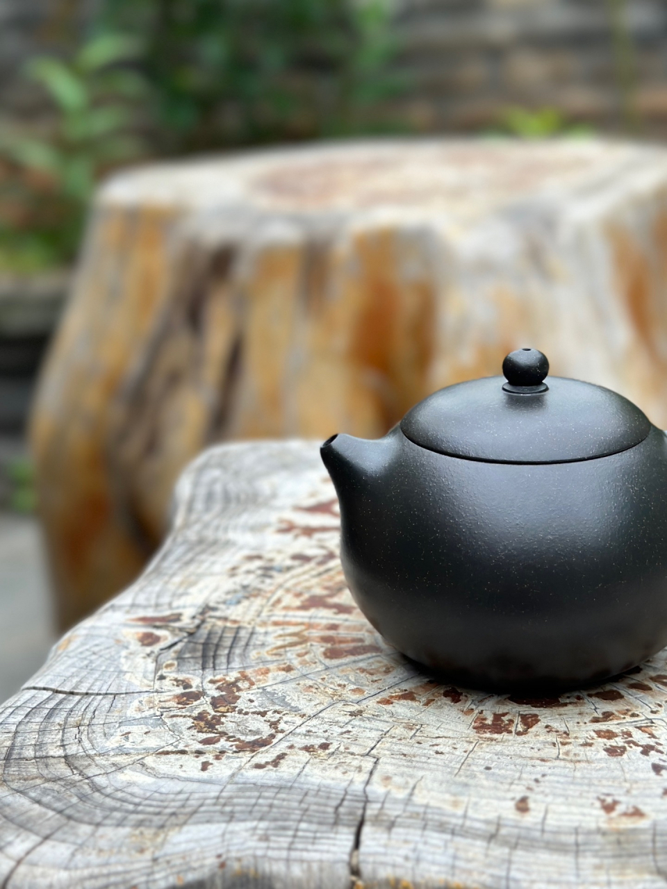 【西施】 九龄君子兰泥料 220cc 高工汤宣武作品,范泽锋监制!
