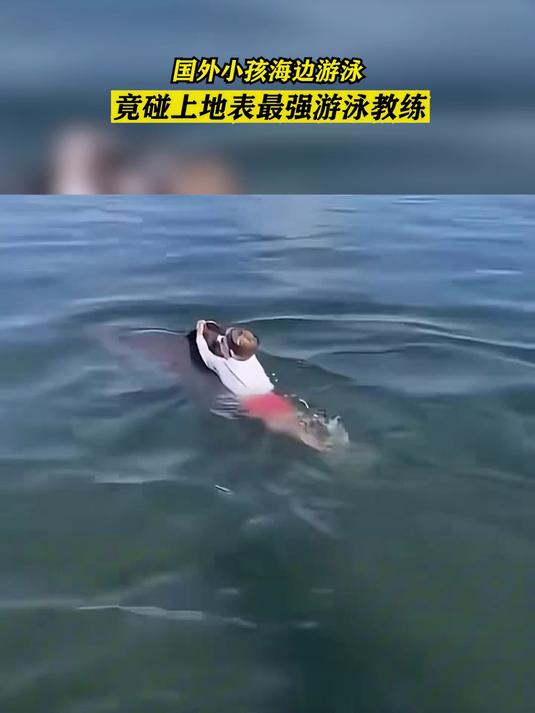 国外小孩海边游泳,竟碰上地表最强游泳教练