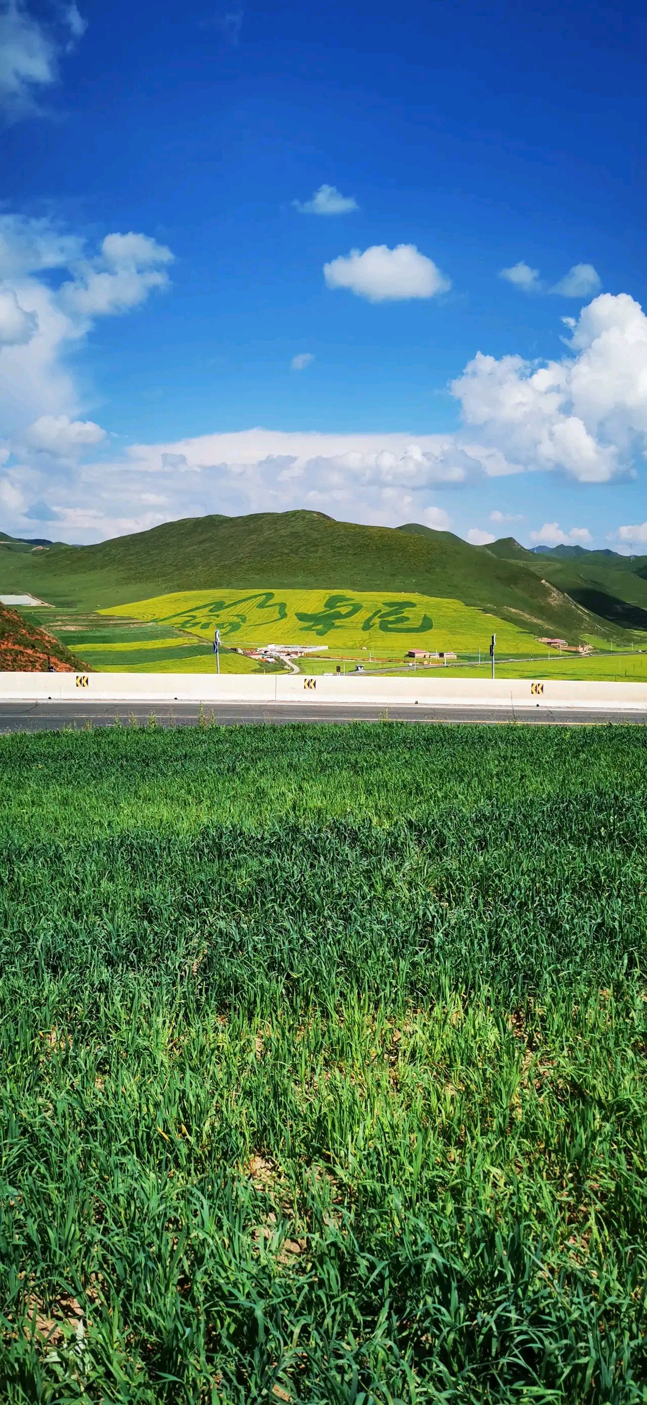 卓尼旅游景点图片