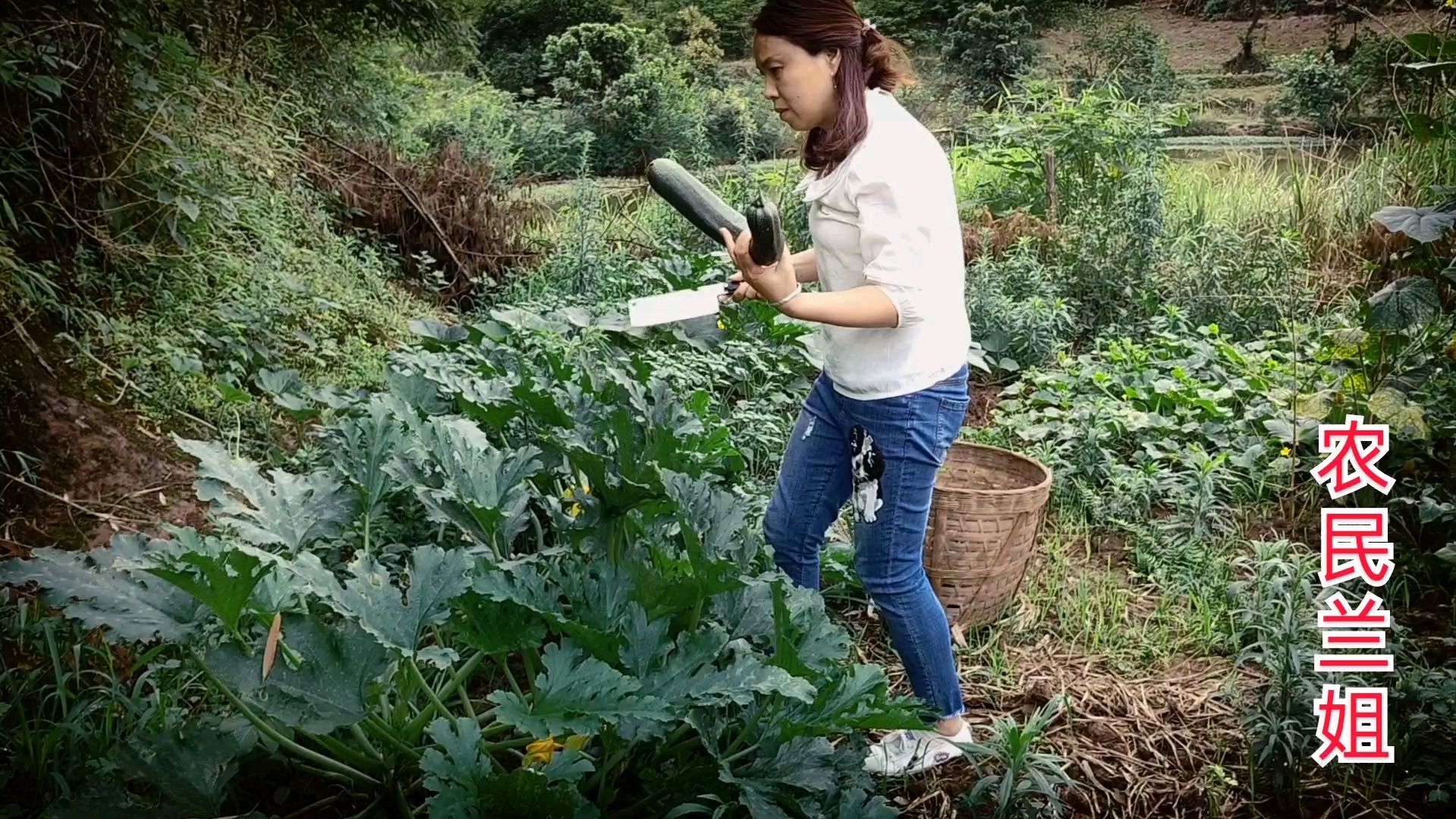 农村自家种的纯天然绿色蔬菜,兰姐用白水煮南瓜,营养又开胃