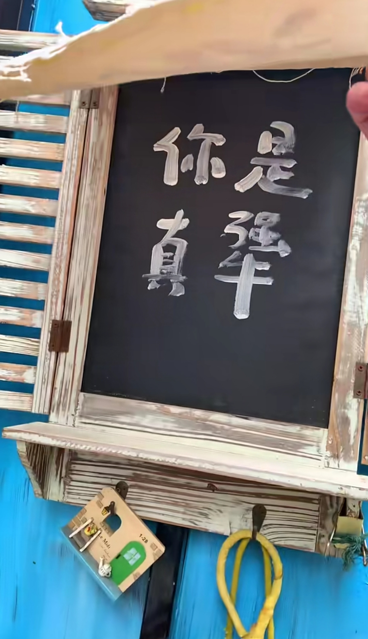 犟种的日常[滑稽]