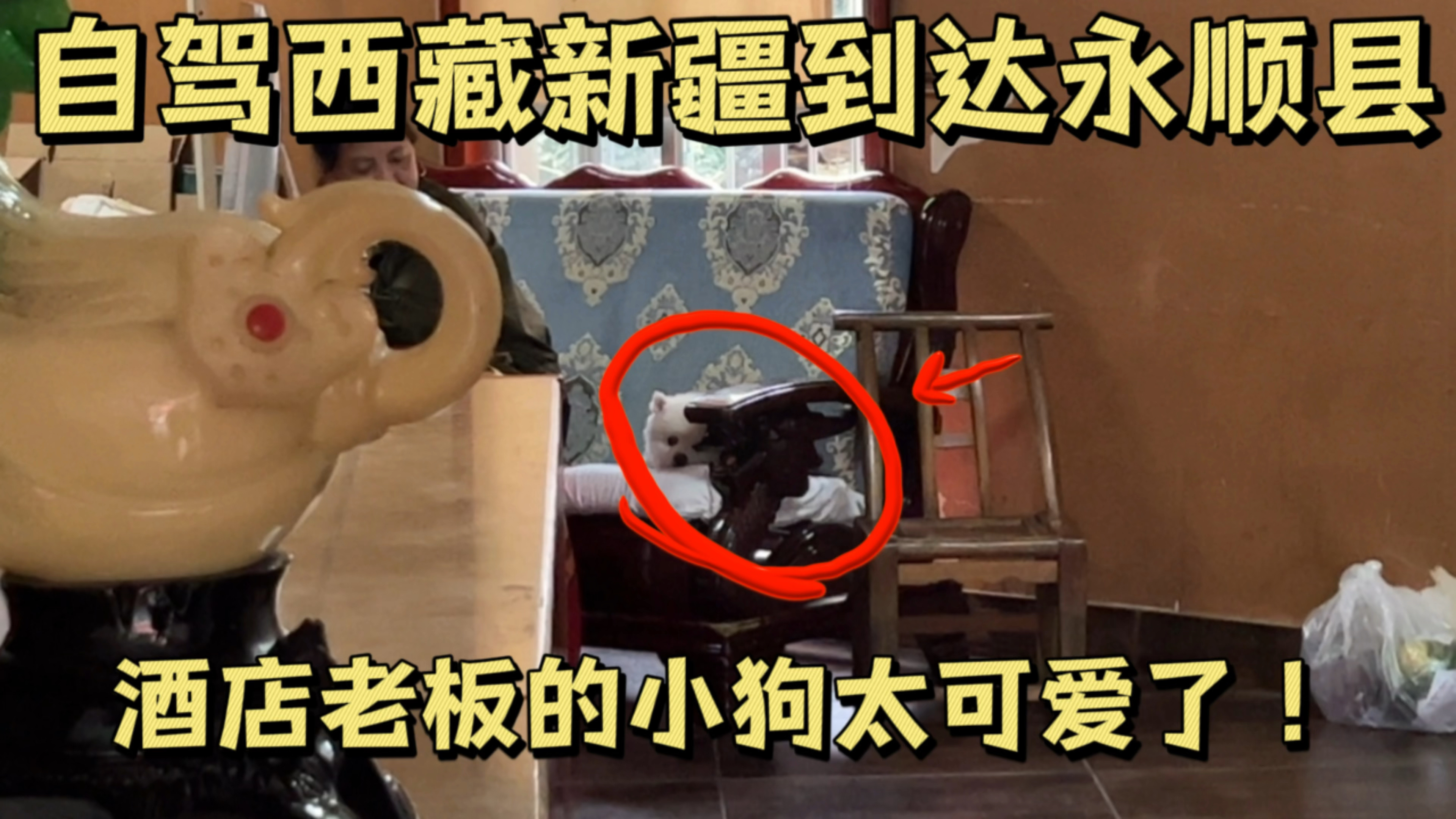 自驾西藏新疆,在湖南永顺县休整两天,吃了湘西腊牛肉太香了!