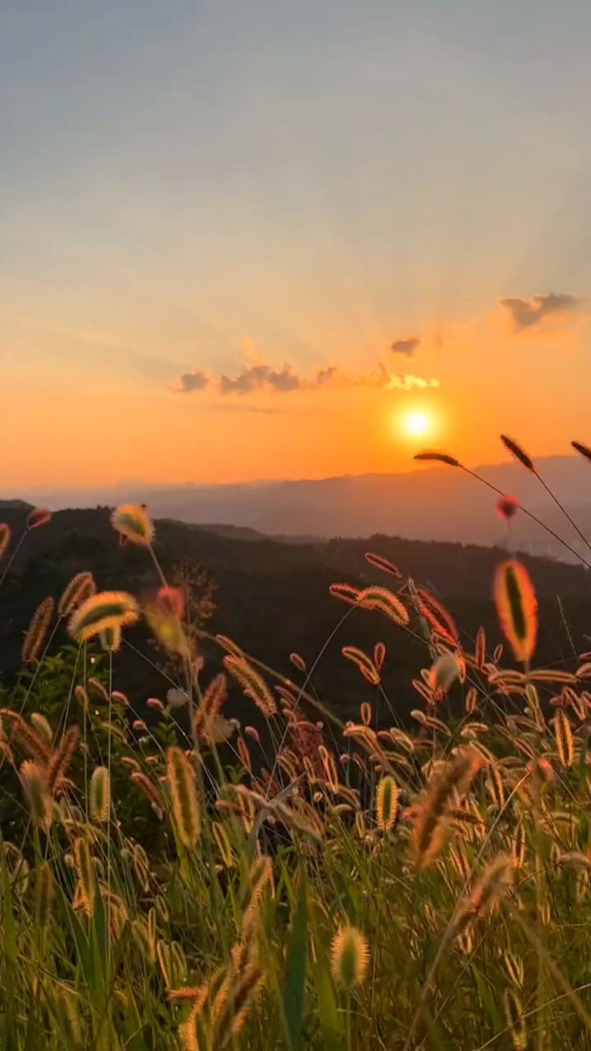 夕阳无限好,只是近黄昏,唯美画面,给人无尽的暇想,意犹未尽