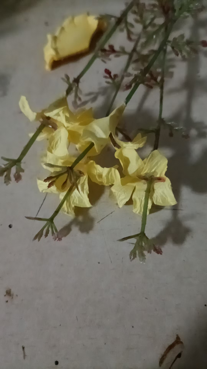 我今天做的是这种手工活,简单好做,一上午就做了两千枝.